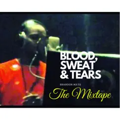 Blood, Sweat & Tears The Mixtape by Brandon Mays album reviews, ratings, credits