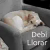 Debí Llorar - Single album lyrics, reviews, download