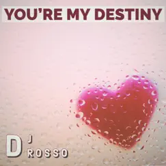 You're my Destiny by DJ Rosso album reviews, ratings, credits