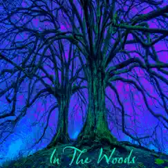 In the Woods Song Lyrics