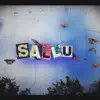 Sallu - Single album lyrics, reviews, download