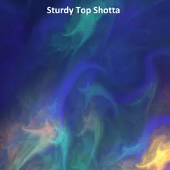 Sturdy Top Shotta Song Lyrics