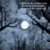 Sommeil de pleine lune – Forêt de printemps – Sommeil très profond album lyrics, reviews, download
