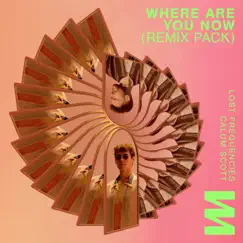 Where Are You Now (Kungs Remix) - Single by Lost Frequencies, Calum Scott & Kungs album reviews, ratings, credits