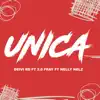 Única (feat. 2.0 Fray & Nelly Nelz) - Single album lyrics, reviews, download