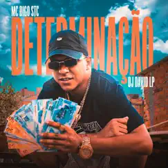 Determinação - Single by MC Digo STC & DJ David LP album reviews, ratings, credits