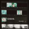 DDS (Day to day shit) - Single album lyrics, reviews, download