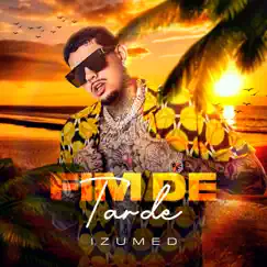 Fim De Tarde - Single by Izumed album reviews, ratings, credits