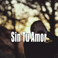 Sin Tu Amor - Single by JQ Beats album reviews, ratings, credits