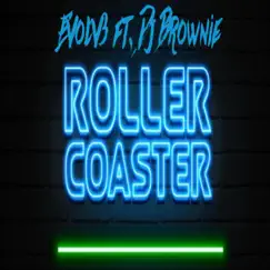 Roller Coaster (feat. DJ Brownie) - Single by Dj Evolv3 album reviews, ratings, credits
