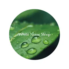 White Noise: Running Water and Heavy Rain Song Lyrics