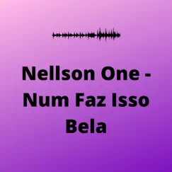 Num Faz Isso Bela - Single by Nellson One album reviews, ratings, credits
