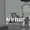 No Te Vayas (feat. Mayer Lopez) - Single album lyrics, reviews, download