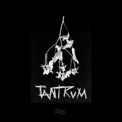 Tantrum - Single by River house album reviews, ratings, credits