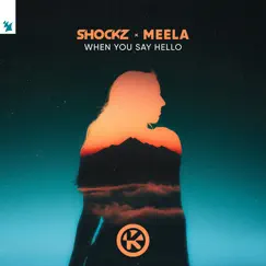 When You Say Hello - Single by Shockz & MEELA album reviews, ratings, credits
