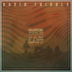 Blinked Its Last - Single by David Tribble album reviews, ratings, credits