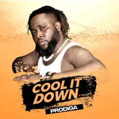 Cool It Down - Single by Prodiga album reviews, ratings, credits