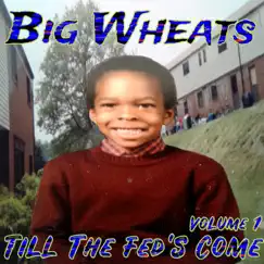 Till the Feds Come (Radio Edit) [Radio Edit] by Big Wheats album reviews, ratings, credits