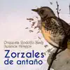 Zorzales de Antaño - Orquesta Rodolfo Biagi - Seamos Amigos album lyrics, reviews, download