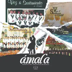 Ámala (Deluxe Edition) by Rondalla Voz y Sentimiento de Saltillo album reviews, ratings, credits