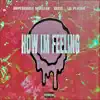 How Im Feeling (feat. Lil Playah & Belis) - Single album lyrics, reviews, download