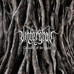 Cathedral of the Gods - Single by VINTERGRAV album reviews, ratings, credits