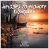 Melodies to Promote Tranquility album lyrics, reviews, download