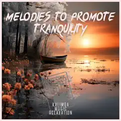 Melodies to Promote Tranquility by Kalimba Music Relaxation album reviews, ratings, credits