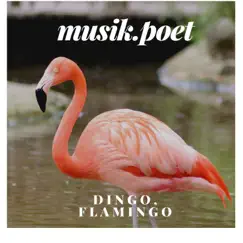 Dingo, Flamingo (English Version) Song Lyrics