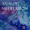 Analog Meditation : Disk 2 album lyrics, reviews, download