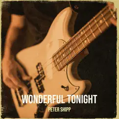 Wonderful Tonight - Single by Peter Shipp album reviews, ratings, credits