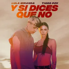Y Si Dices Que No (feat. Tiago PZK) - Single by Lula Miranda album reviews, ratings, credits