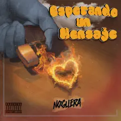 Esperando Un Mensaje - Single by Noguera album reviews, ratings, credits