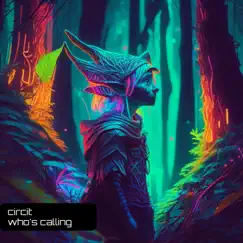 Who's Calling Song Lyrics