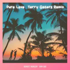 Pure Love (Terry Gaters Remix) Song Lyrics