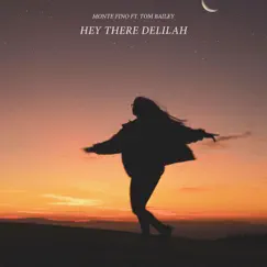 Hey There Delilah (feat. Tom Bailey) Song Lyrics