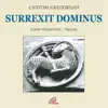 Surrexit dominus (Canto gregoriano) album lyrics, reviews, download