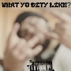 What Yo City Like - Single by Kk Choppa album reviews, ratings, credits