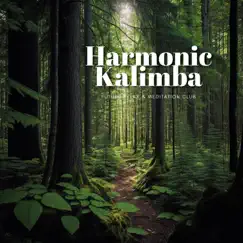 Harmonic Kalimba - Forest Symphony, Balance, Serenade by Future Relax & Meditation Club album reviews, ratings, credits