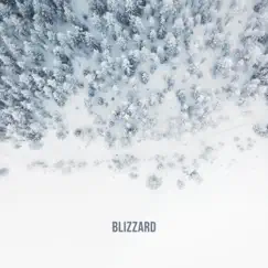 Blizzard - Single by Vincera album reviews, ratings, credits