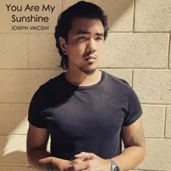 You Are My Sunshine - Single by Joseph Vincent album reviews, ratings, credits