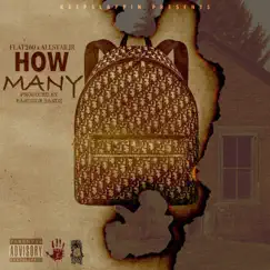 How Many - Single by Flat260 & Allstar JR album reviews, ratings, credits