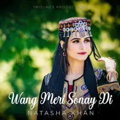 Wang Meri Sonay Di Song Lyrics