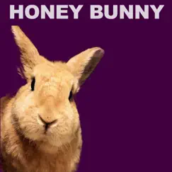 Sweet Dreams Everybody's Looking For Something - Single by Honey Bunny album reviews, ratings, credits