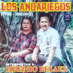 Interpretan A Higinio Pelaez by Los Andariegos album reviews, ratings, credits