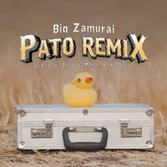 Pato (feat. Big Zamurai, Kevin Vidal, Dolshelo & Giusepp) [Remix] Song Lyrics