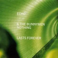 Nothing Lasts Forever (CD2) - Single by Echo & The Bunnymen album reviews, ratings, credits