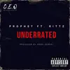 Underrated (feat. Rittz) - Single album lyrics, reviews, download
