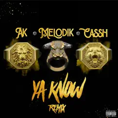 Ya Know (feat. Cassh & a.K) Song Lyrics