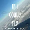 If I Could Fly - Single album lyrics, reviews, download